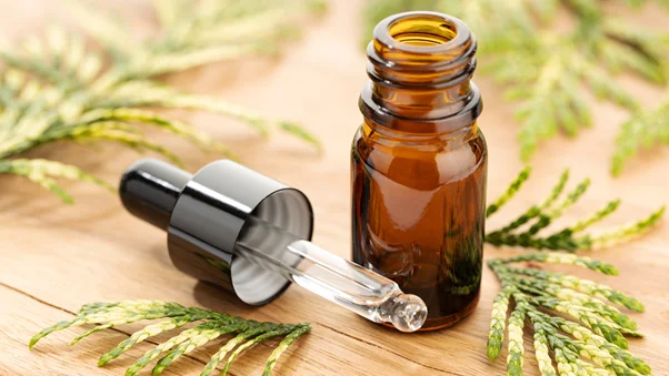 精油瓶一定要用玻璃材質嗎？搞懂4個常見問題，正確保存保障精油品質